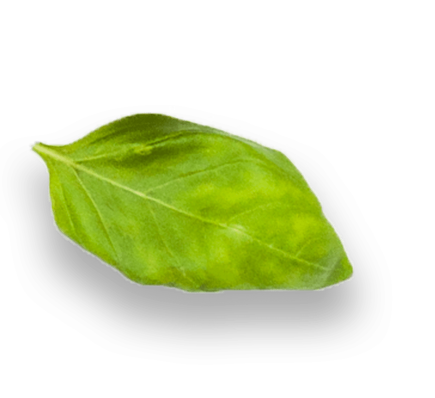 Image link